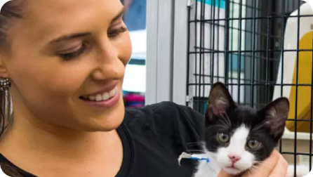 A smiling Pet Supermarket employee holding a black and white kitten in front of a pet carrier.