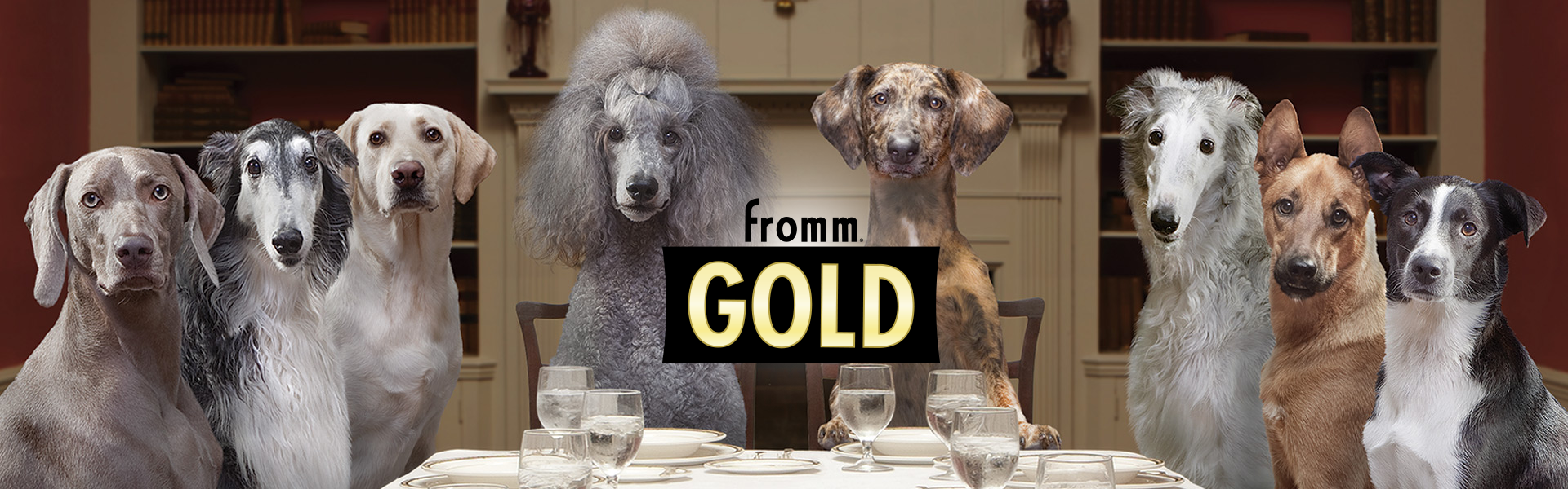 Fromm Gold Dog Food