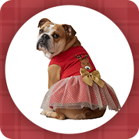 Simply Dog Reindeer Lights Red Holiday Party Dog Dress