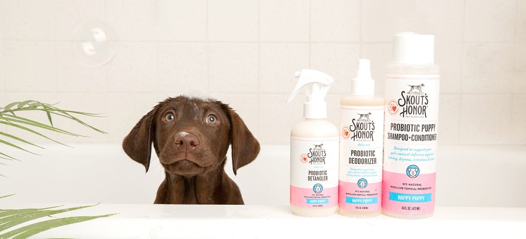 A wet brown puppy standing in a bathtub next to a row of Skout's Honor products, including Probiotic Detangler, Probiotic Deodorizer, and Probiotic Puppy Shampoo + Conditioner.