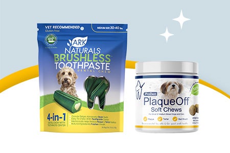 dental toys and chews
