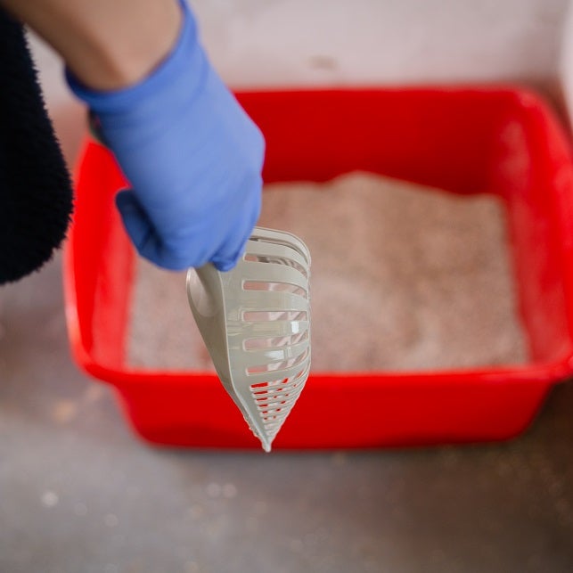 A person scooping clumps from a red litter tray.
