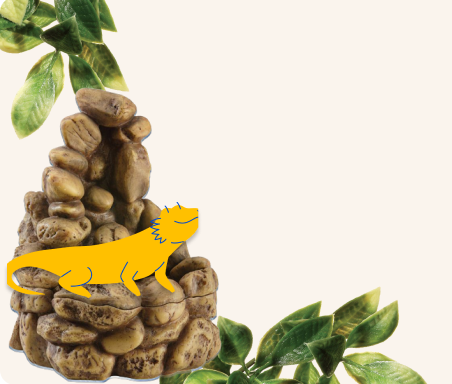 Reptile Peticon perched on a rock with fauna behind it