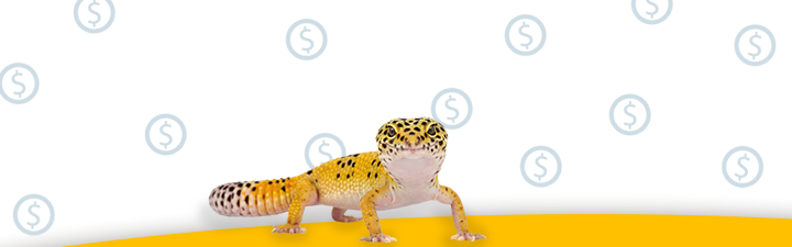 A colorful leopard gecko set against a light background decorated with floating dollar signs.