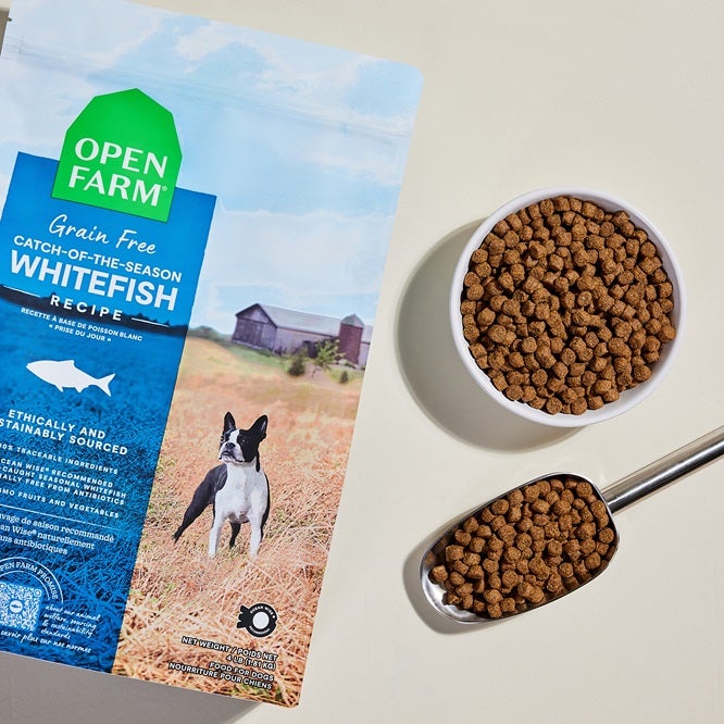 blue bag of Grain-free Whitefish recipe open farm dog food with a bowl and scoop