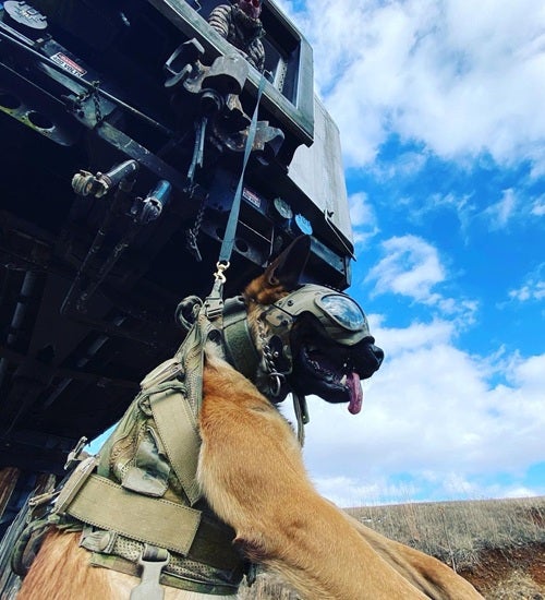 K-9 Speed in helicopter 