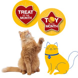 Image of an orange cat sitting next to a stylized, Pet Supermarket Cat Peticon, a yellow cat with blue accents. The orange cat is raising its paw as if playing. Above them are two badges: a red heart-shaped badge labeled 'Treat of the Month' and a yellow star-shaped badge labeled 'Toy of the Month.'