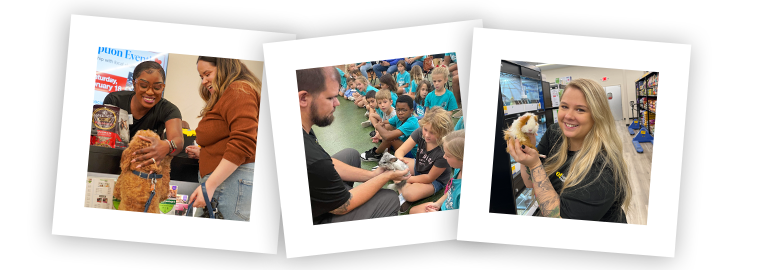 3 white Polaroid pictures the first one has a store associate petting a dog the second one has a store so teaching children about a chinchilla and the third one has a pet supermarket associate holding a Guinea pig