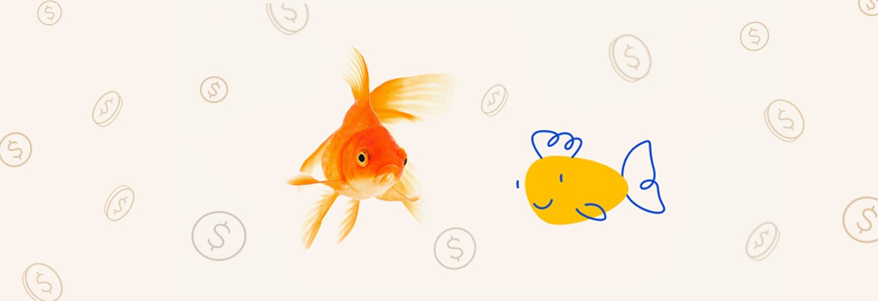 Fish Deals