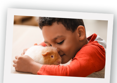 A young boy hugging a guinea pig close to his face.