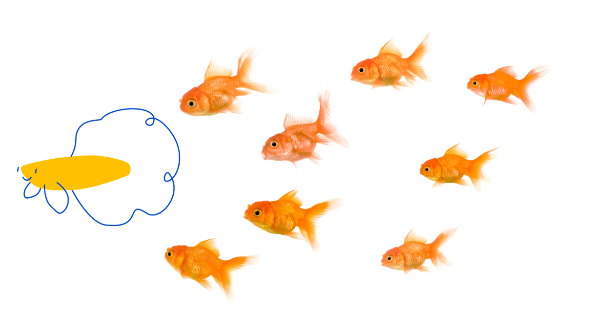 A group of eight goldfish swimming together with a yellow cartoon fish, a Pet Supermarket Peticon, leading them.