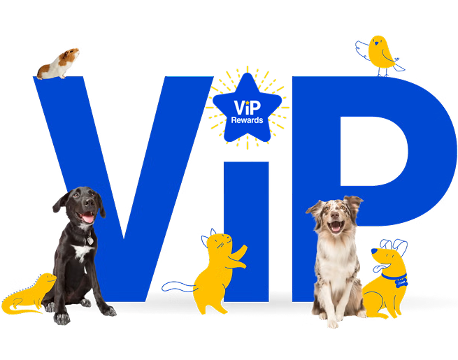 The letters "ViP" in large blue font with a star in place of the dot on the "i". Surrounding the letters are various animals, including a guinea pig on top of the "V", a black dog and a yellow Pet Supermarket Peticon lizard at the bottom of the "V", a yellow Pet Supermarket Peticon cat and a dog next to the "i", and a brown and white dog with a yellow Pet Supermarket Peticon dog at the bottom of the "P". A yellow Pet Supermarket Peticon bird is perched on top of the "P".