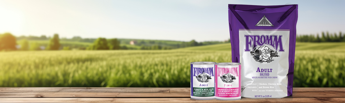 Fromm Classic Dog Food