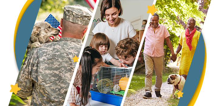Seniors, Military, Teachers stars
