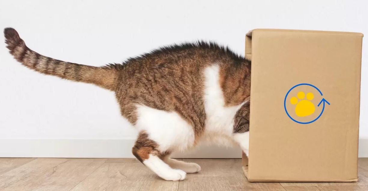 AutoShip & Save cat delivery