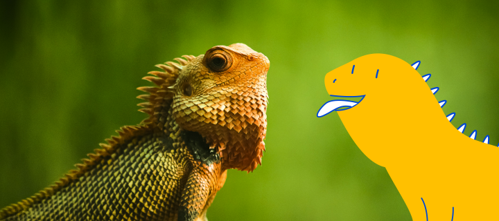 A close-up of a real reptile with textured scales next to the Pet SupermarketReptile Peticon, against a green background
