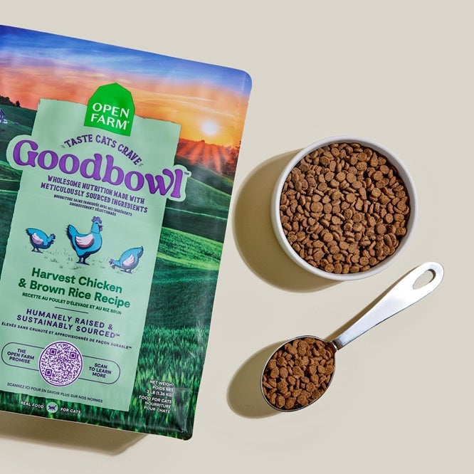 Goodbowl cat food bag and bowl with food in scoop
