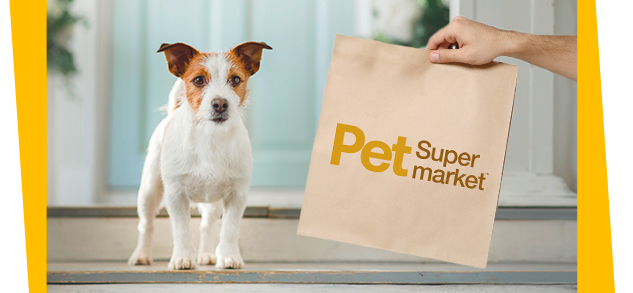 A small white and brown dog sitting on steps, looking at a person holding a Pet Supermarket paper bag.