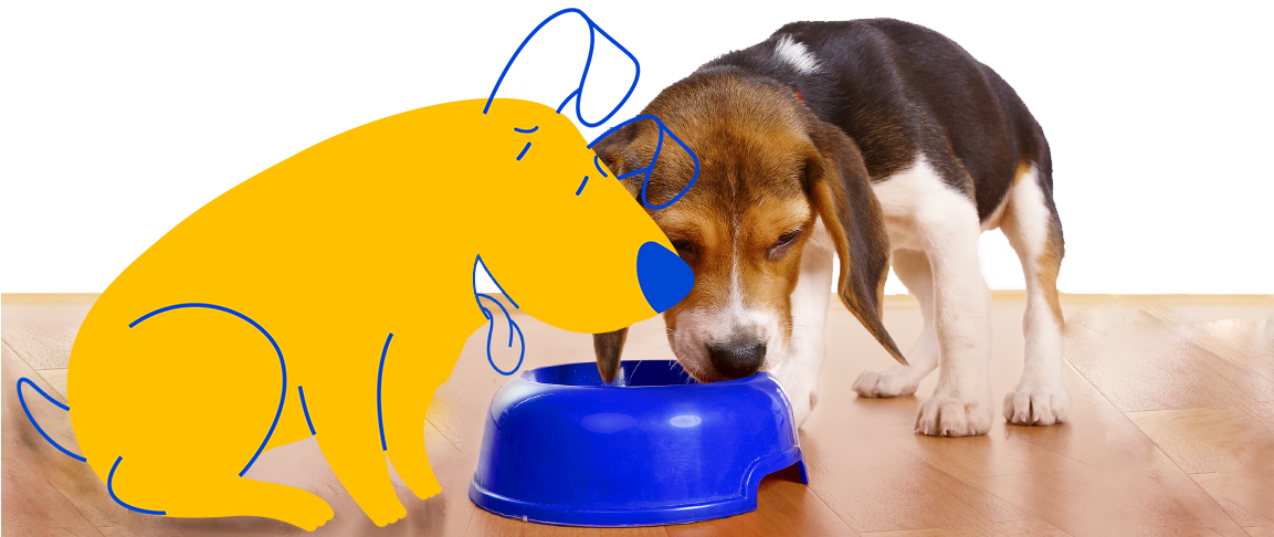 A small dog drinking from a blue bowl on a wooden floor, accompanied by a yellow cartoon dog, a Pet Supermarket Peticon