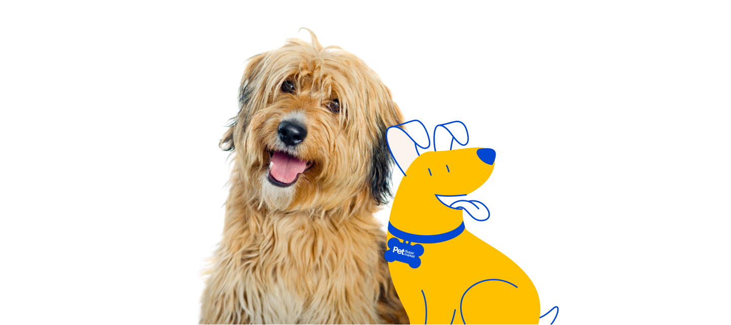 A fluffy, happy-looking dog with a shaggy coat is sitting next to a yellow Pet Supermarket Peticon dog illustration. The Peticon dog is wearing a blue collar with a "Pet Supermarket" tag.